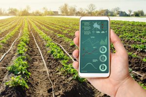 un agricultor supervisa su cosecha con un smartphone