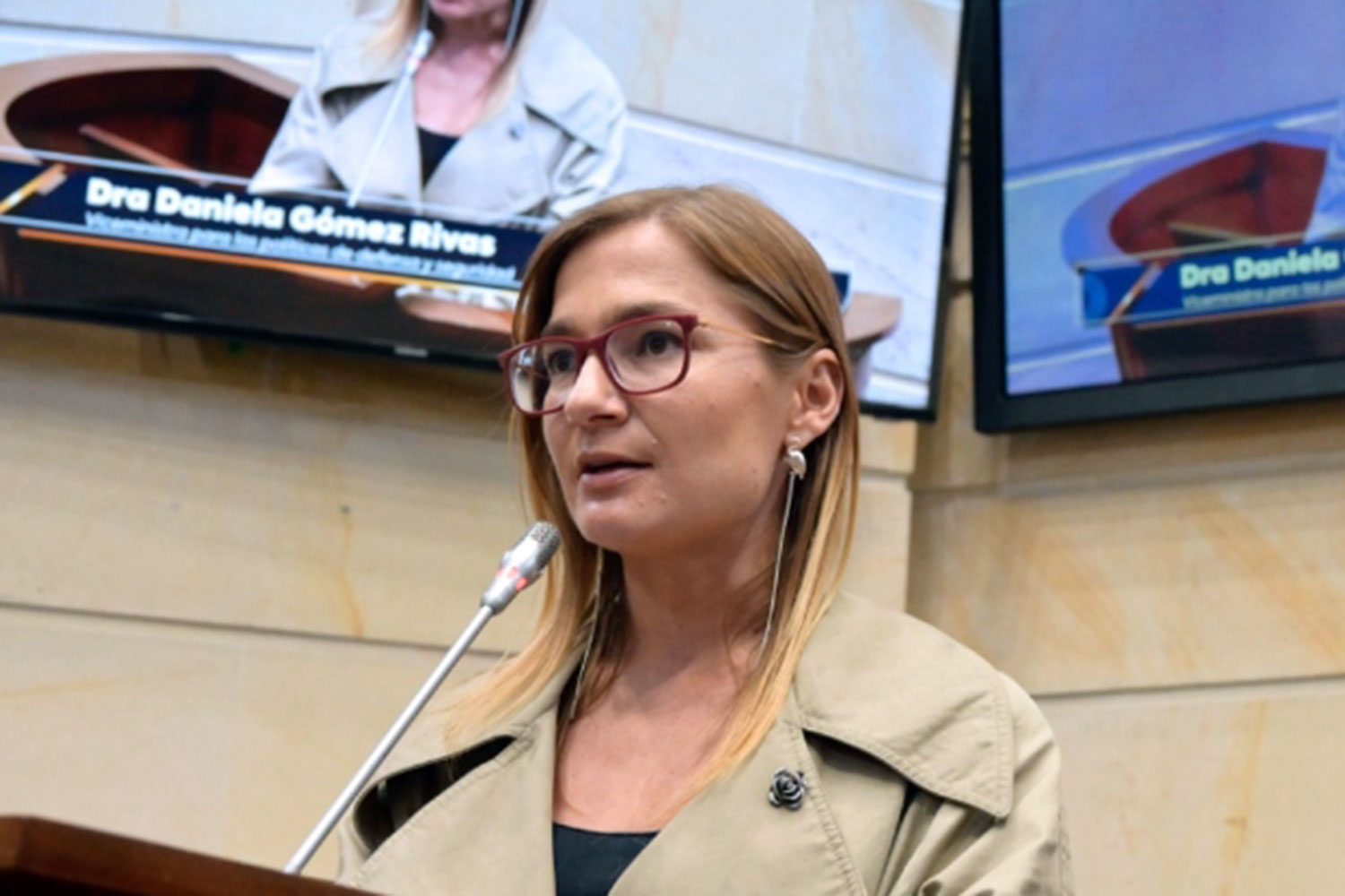 Daniela Gómez Rivas, viceministra para las Políticas de Seguridad y Defensa del Gobierno colombiano