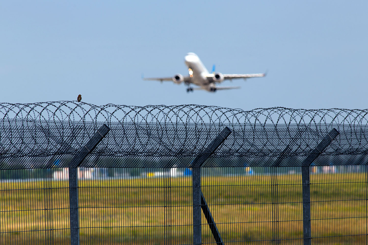 un avión comercial despegando