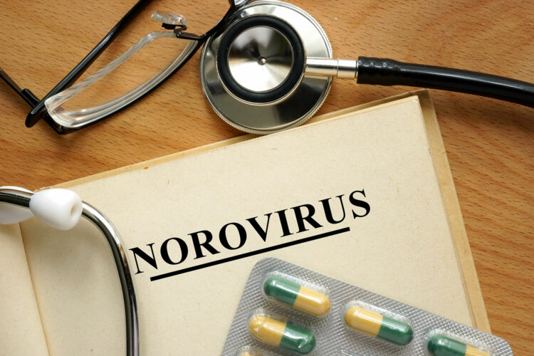 una agenda médica con la palabra NOROVIRUS